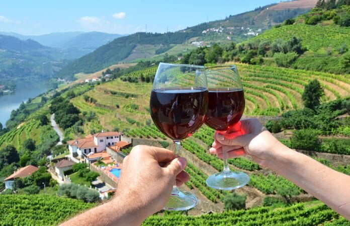 wine field in Portugal D6 /DF